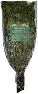 Birkenreisig ca. 55-60cm Birkenquast Wenik Sauna Banja