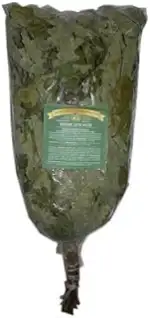 NA Eichenreisig ca. 55-60cm Birkenquast Wenik Sauna Banja