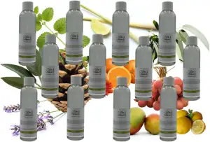 Dufte Momente Dampfbad Duftkonzentrat Set „Best of Spa“ – 12×250 ml – naturreine & natürliche Öle – Klassiker wie Zirbenkiefer, Eukalyptus & Lavendel – vegan & Made in Germany