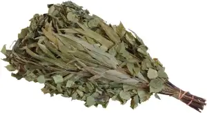 Saunabesen aus Birke & Eukalyptus – Traditioneller Saunaaufguss-Besen zur Entspannung & Hautpflege – Naturprodukt – 1–2 Anwendungen (1)