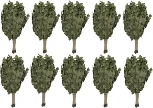 Dufte Momente | 10 x Birken Reisig | Großpackung für deine Sauna | Robuster Saunawedel mit intensivem Duft