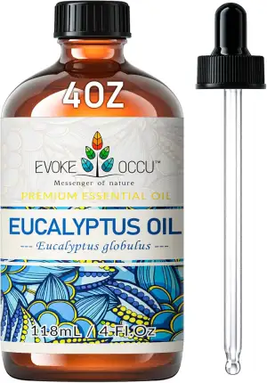 EVOKE OCCU Eukalyptusöl 118ml - Reines Ätherisches Öl aus Eukalyptus für Aromath