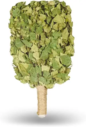 Birkenbesen Premium für Sauna & Banja – 100 % Junge Birkenzweige – Naturduft für