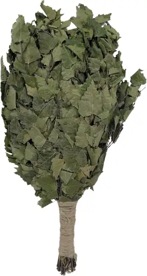 Dufte Momente | 1 x Birken Reisig Premium | Robuster Saunawedel mit intensivem Duft | Dicht & voluminös für Dein perfektes Sauna-Erlebnis