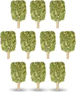 Birkenbesen Premium für Sauna & Banja – 100 % Junge Birkenzweige – Naturduft für Aufguss – weich & formstabil – ca. 250 g (10)