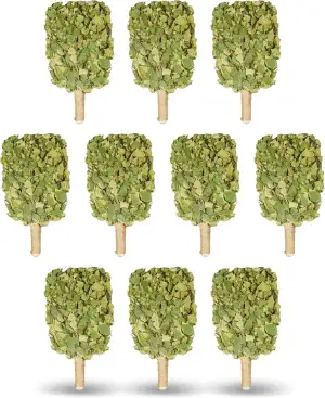 Birkenbesen Premium für Sauna & Banja – 100 % Junge Birkenzweige – Naturduft für Aufguss – weich & formstabil – ca. 250 g (10)