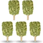 Birkenbesen Premium für Sauna & Banja – 100 % Junge Birkenzweige – Naturduft für Aufguss – weich & formstabil – ca. 250 g (5)