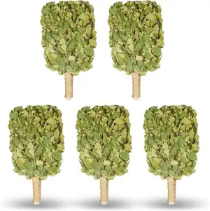 Birkenbesen Premium für Sauna & Banja – 100 % Junge Birkenzweige – Naturduft für Aufguss – weich & formstabil – ca. 250 g (5)