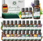 NORDHOLZ® Saunaaufguss Discovery Box 24x15ml [ #1-#24 NATURREINE ÄTHERISCHE ÖLE] Sauna Aufgussmit...